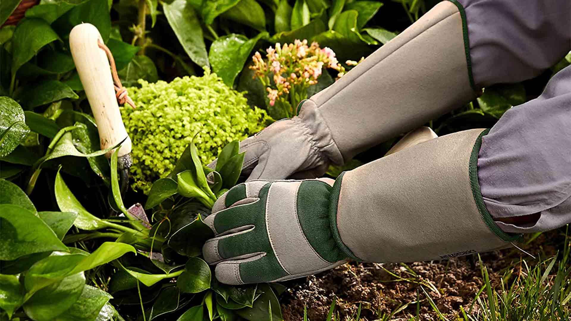 Il numero 1 del risparmio-GUANTI DA GIARDINO IN COTONE E PELLE TAGLIA 10