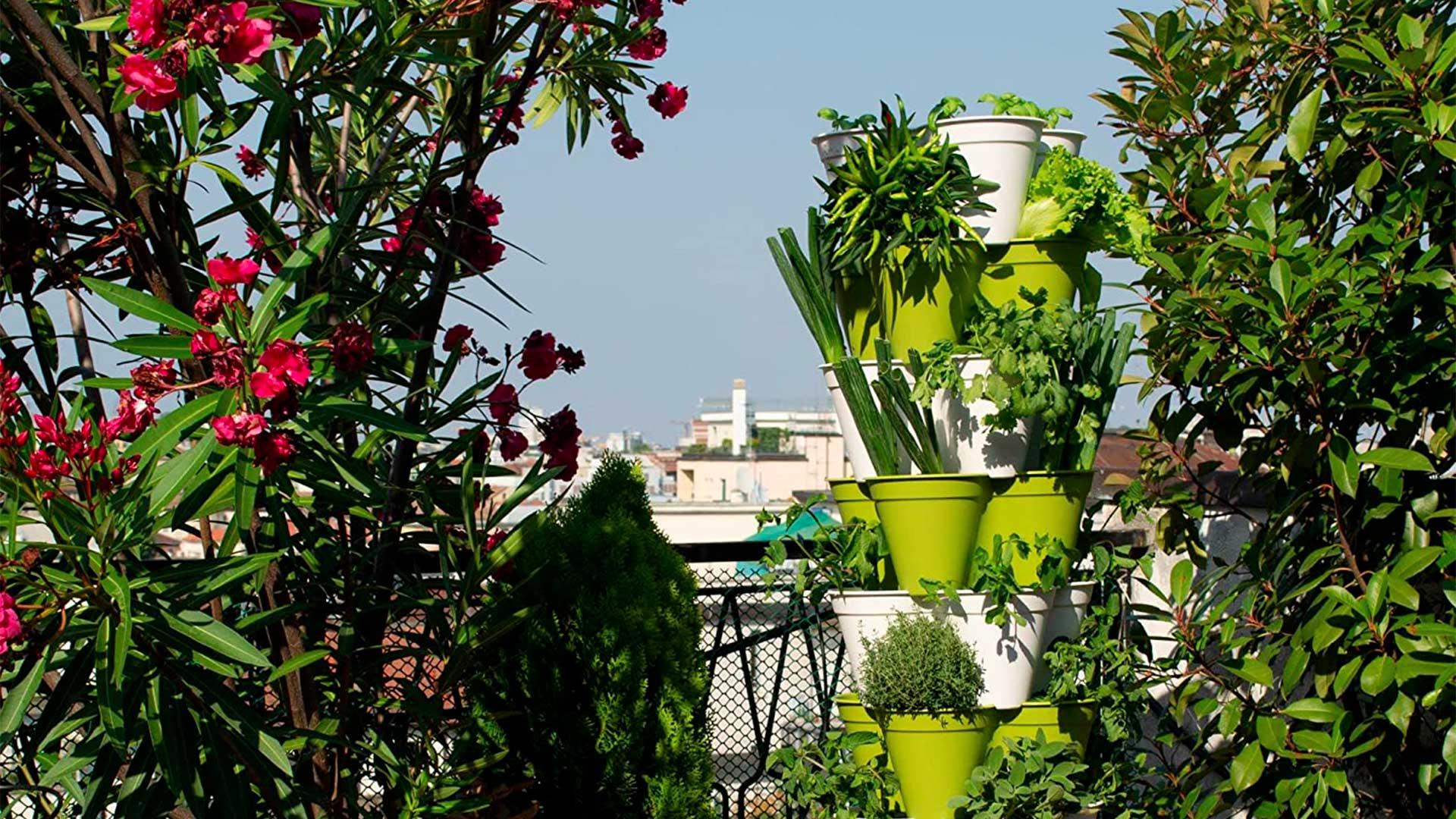 Come fare il giardino o l'orto verticale