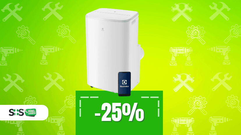 Immagine di Caldo o freddo? Comfort tutto l’anno con Electrolux!