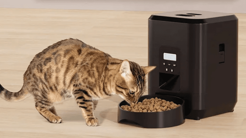 Immagine di A soli 27€ ecco l'assistente per i pasti di gatti e cani!