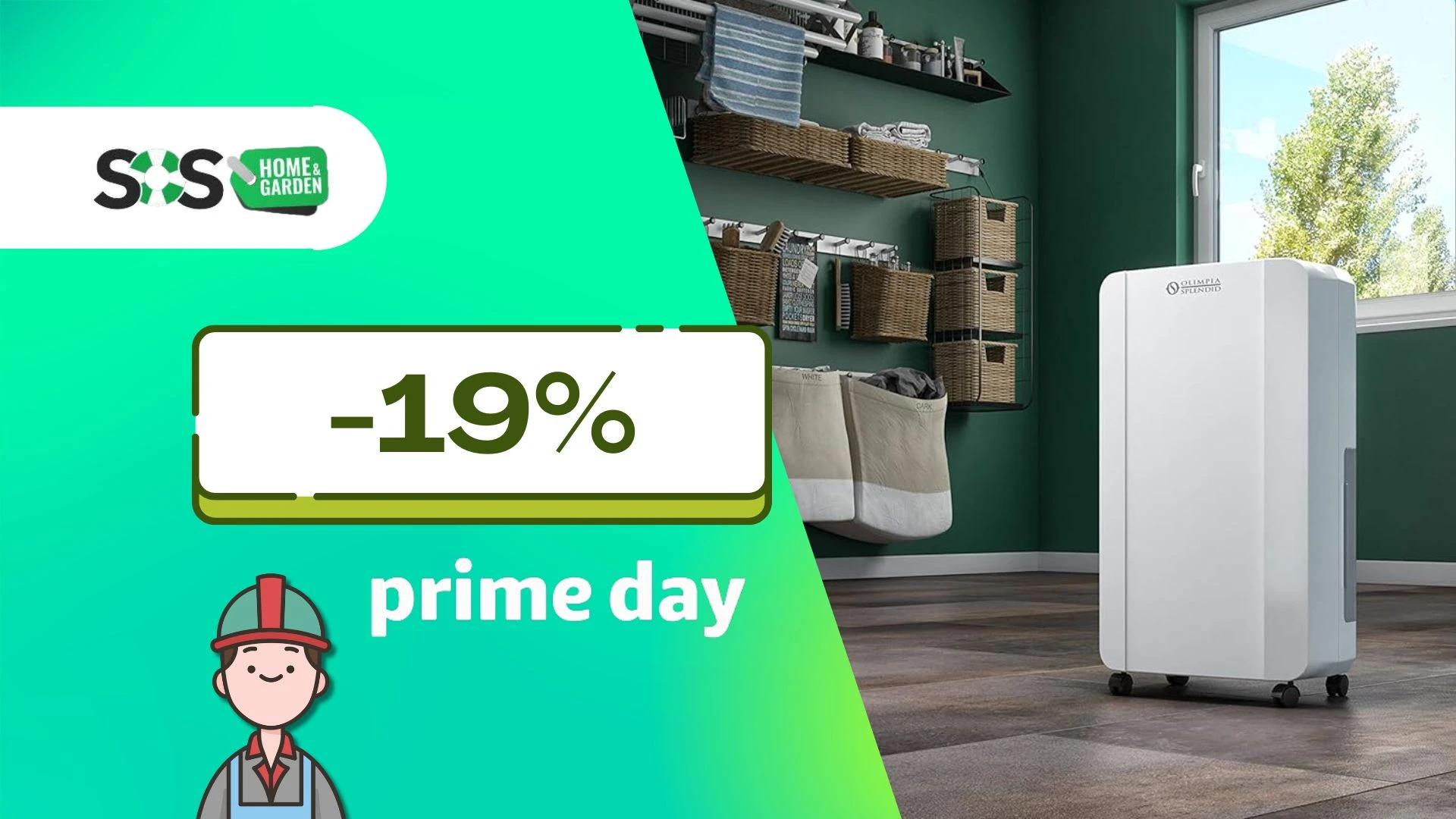Immagine di I mini deumidificatori non soddisfano? Prendi l'Olimpia al Prime Day a soli 129€