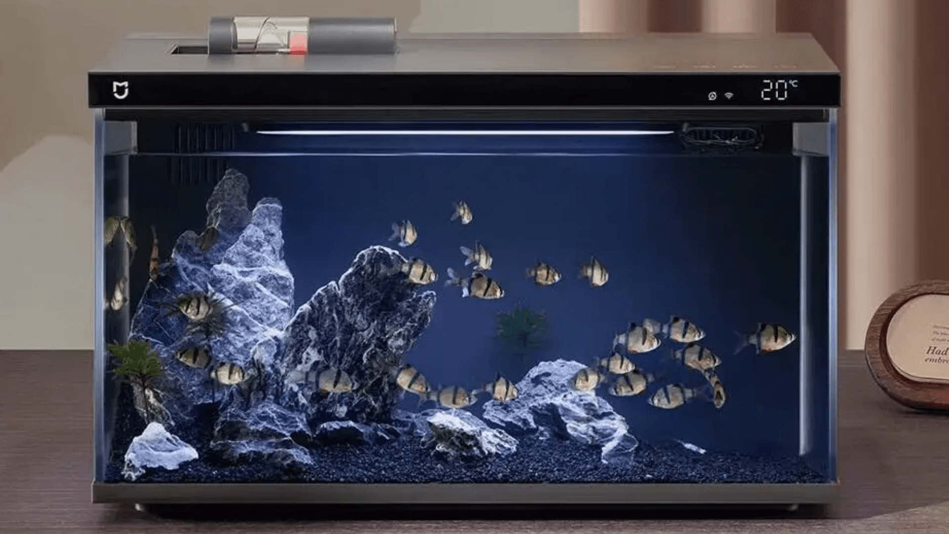 Immagine di L’acquario del futuro è Xiaomi: controllalo dallo smartphone