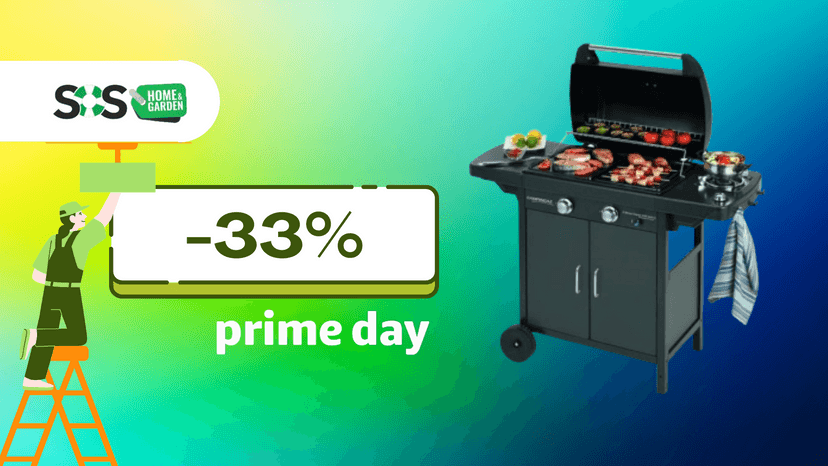 Immagine di Estate a tutta griglia: barbecue a gas a soli 247€!
