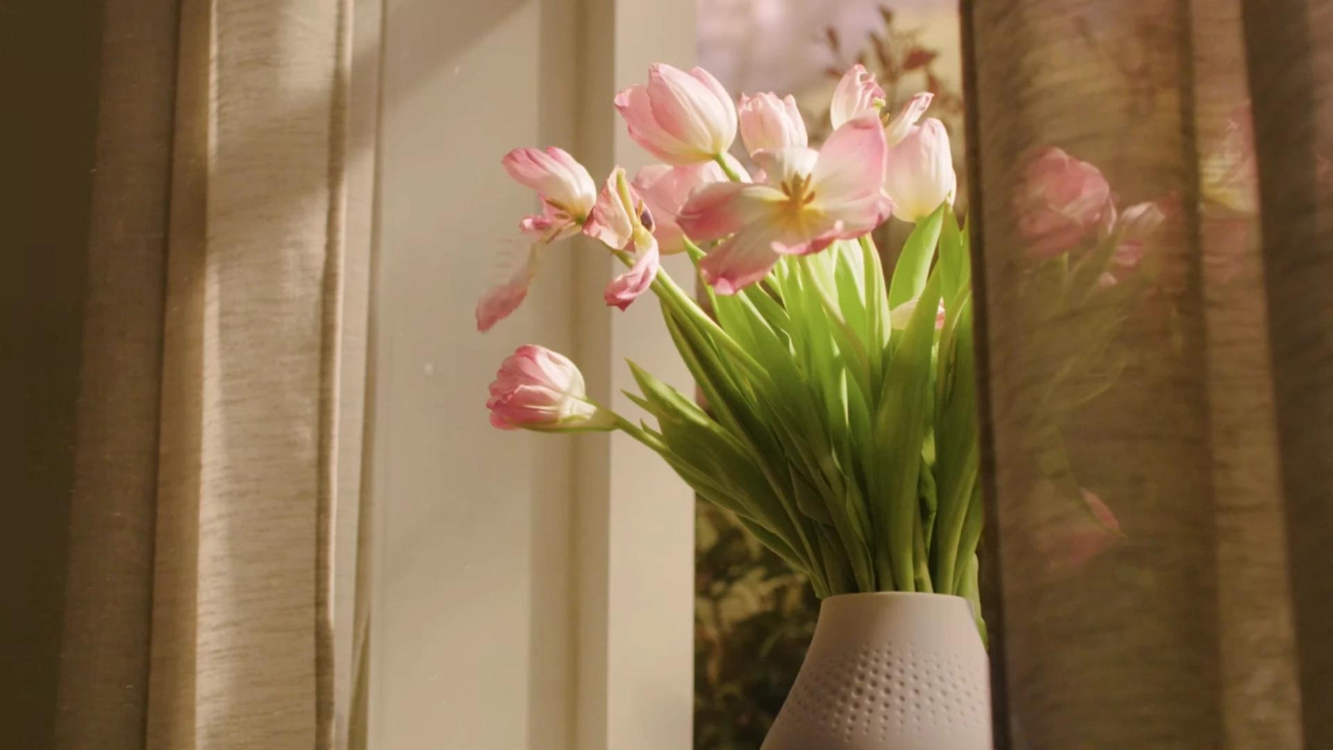 Immagine di Pulizie di primavera? Dyson ha le offerte che stai cercando!