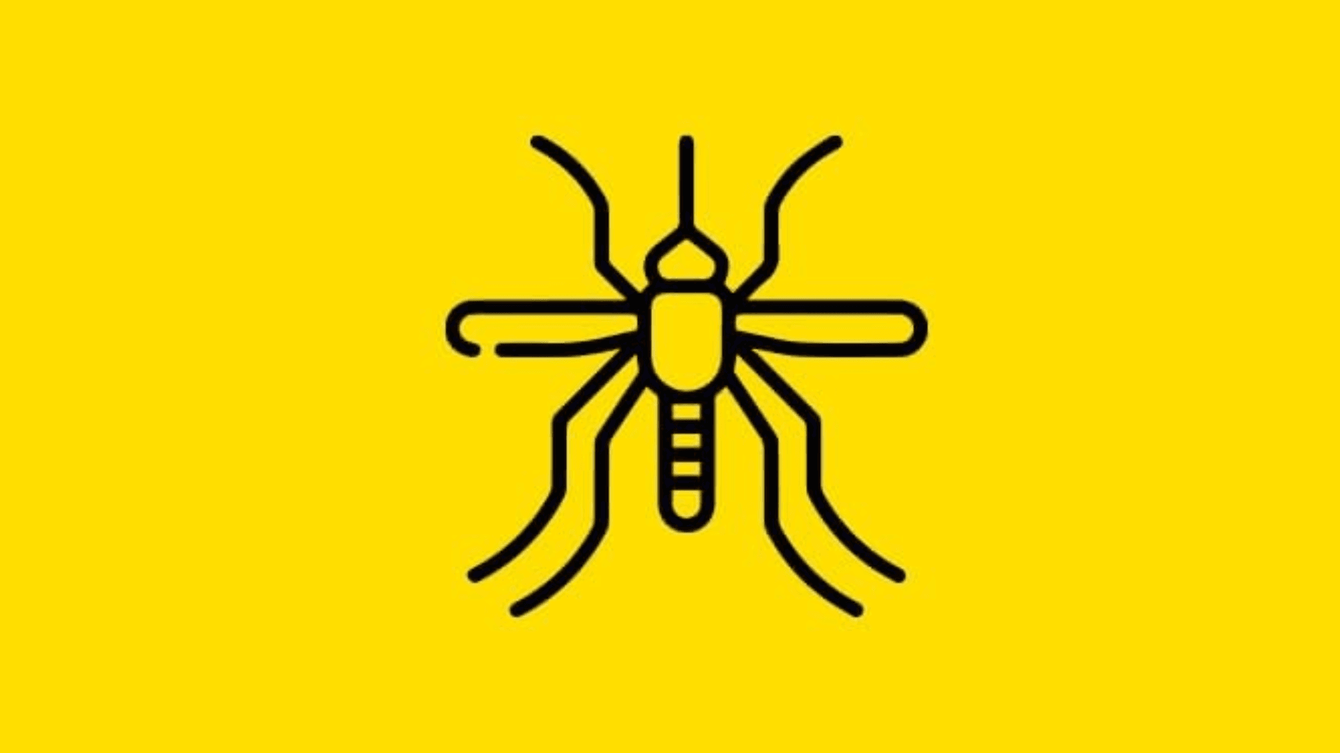 Immagine di Casa senza insetti? Ecco i prodotti che risolvono davvero!