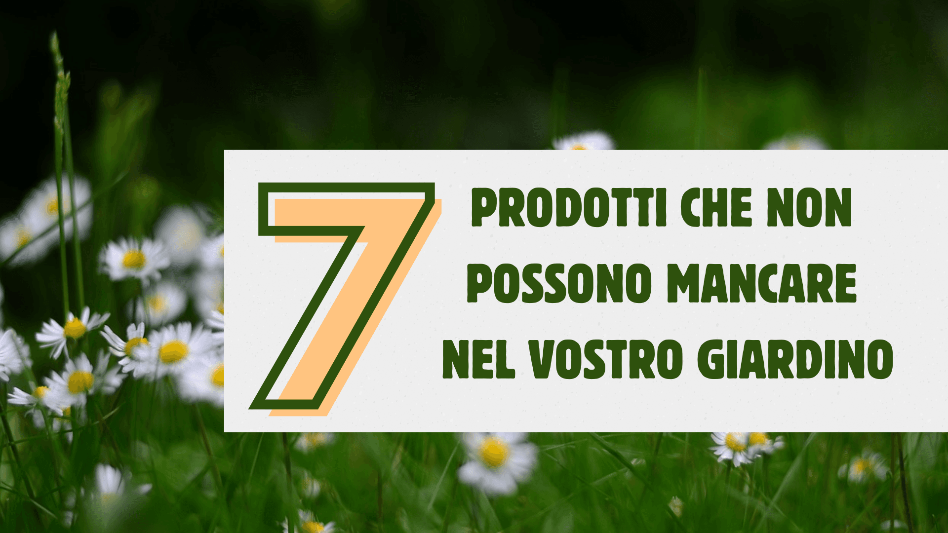 Immagine di 7 prodotti che non possono mancare nel vostro giardino!