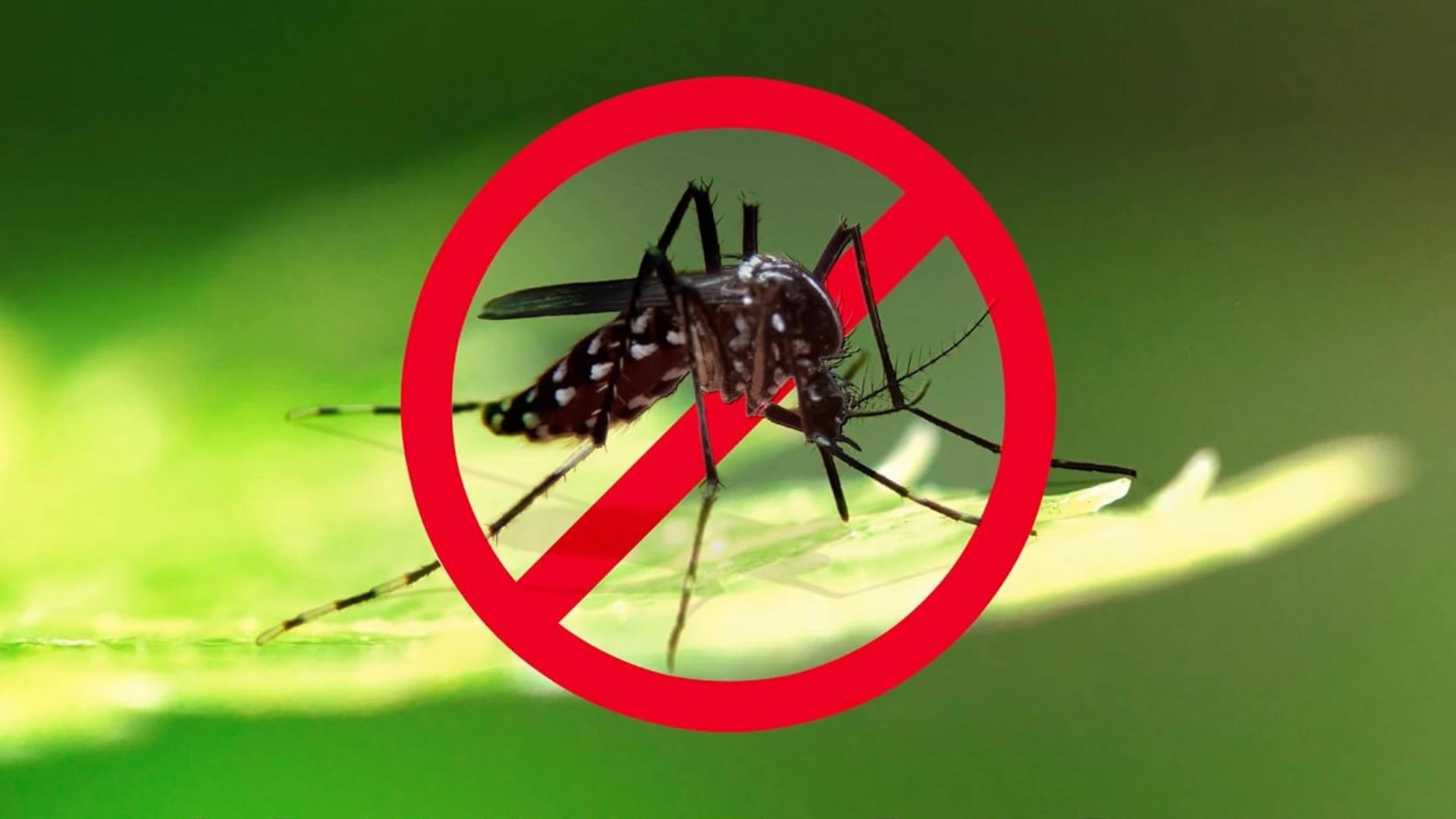 Immagine di Punture? Mai più! Difenditi con questi prodotti antizanzare!