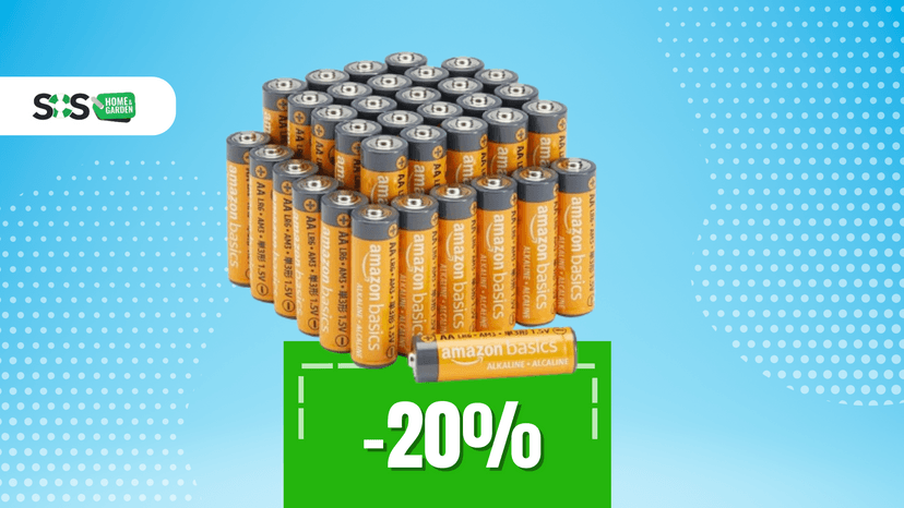 Immagine di Offerta Prime: confezione da 36 batterie AA a soli 10€!