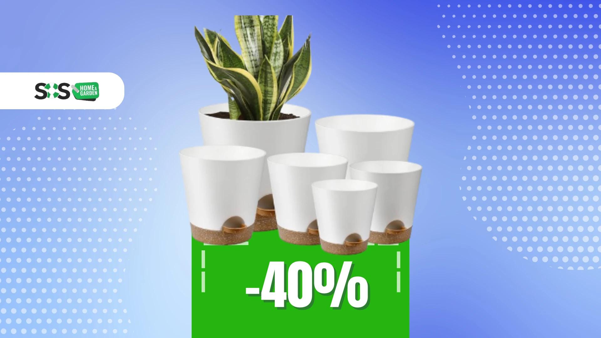 Immagine di La natura incontra la praticità con questo set di 6 vasi!