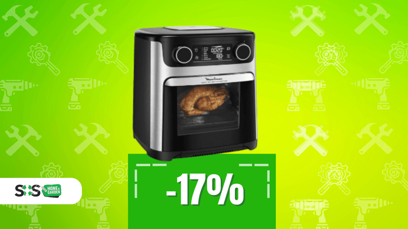 Immagine di Fornetto e friggitrice: Moulinex Easy Fry al minimo storico!