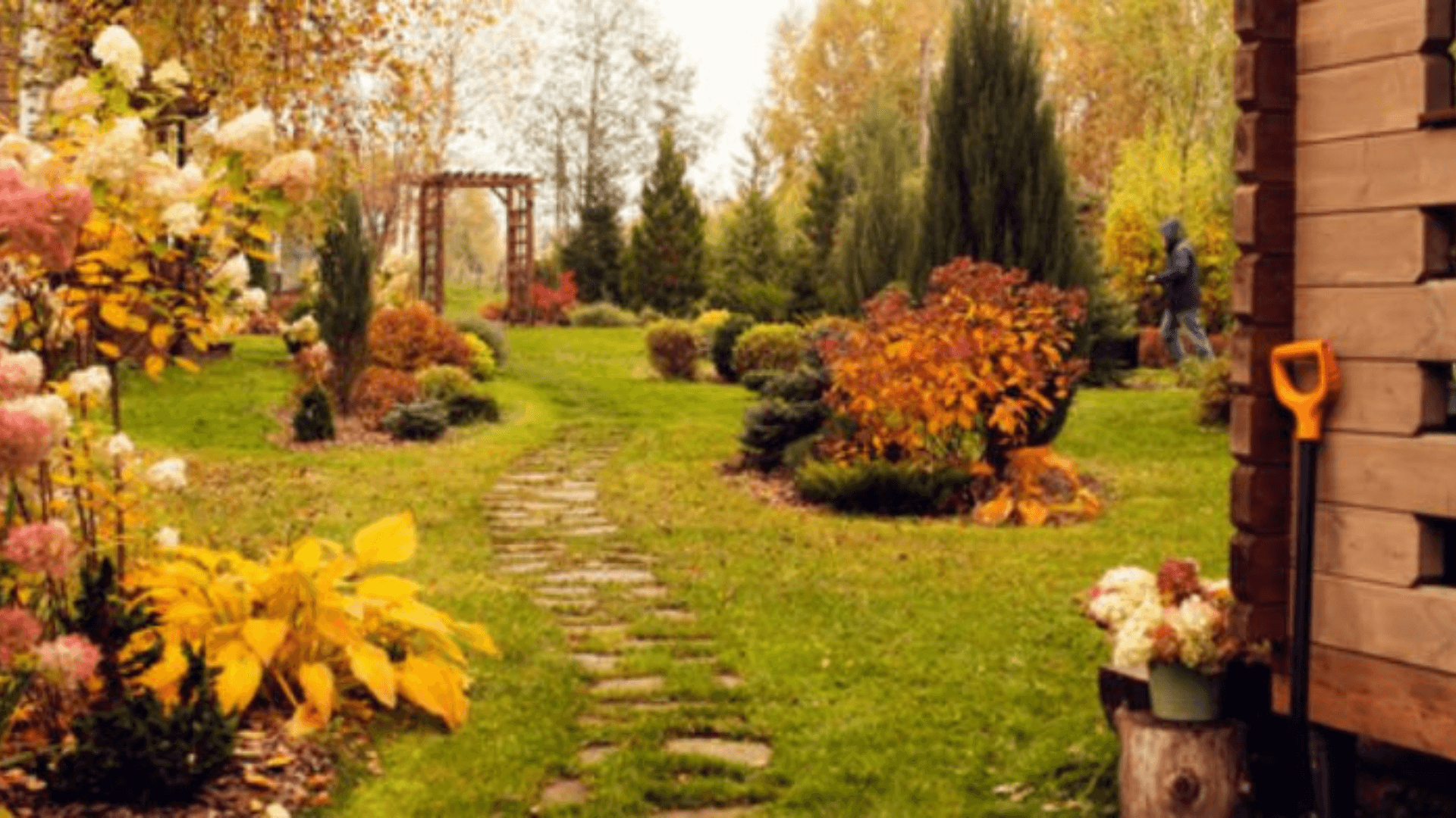 Immagine di Prepara il giardino all'autunno con sconti fino al 60% su Leroy Merlin!