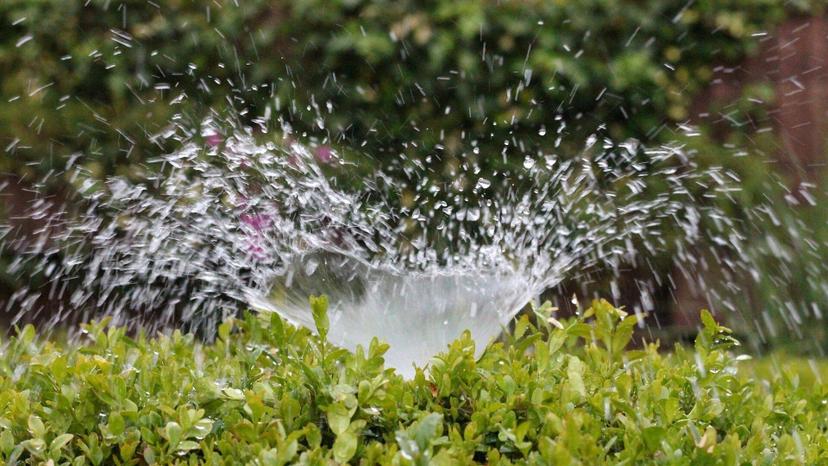 Immagine di Migliori irrigatori (luglio 2025)