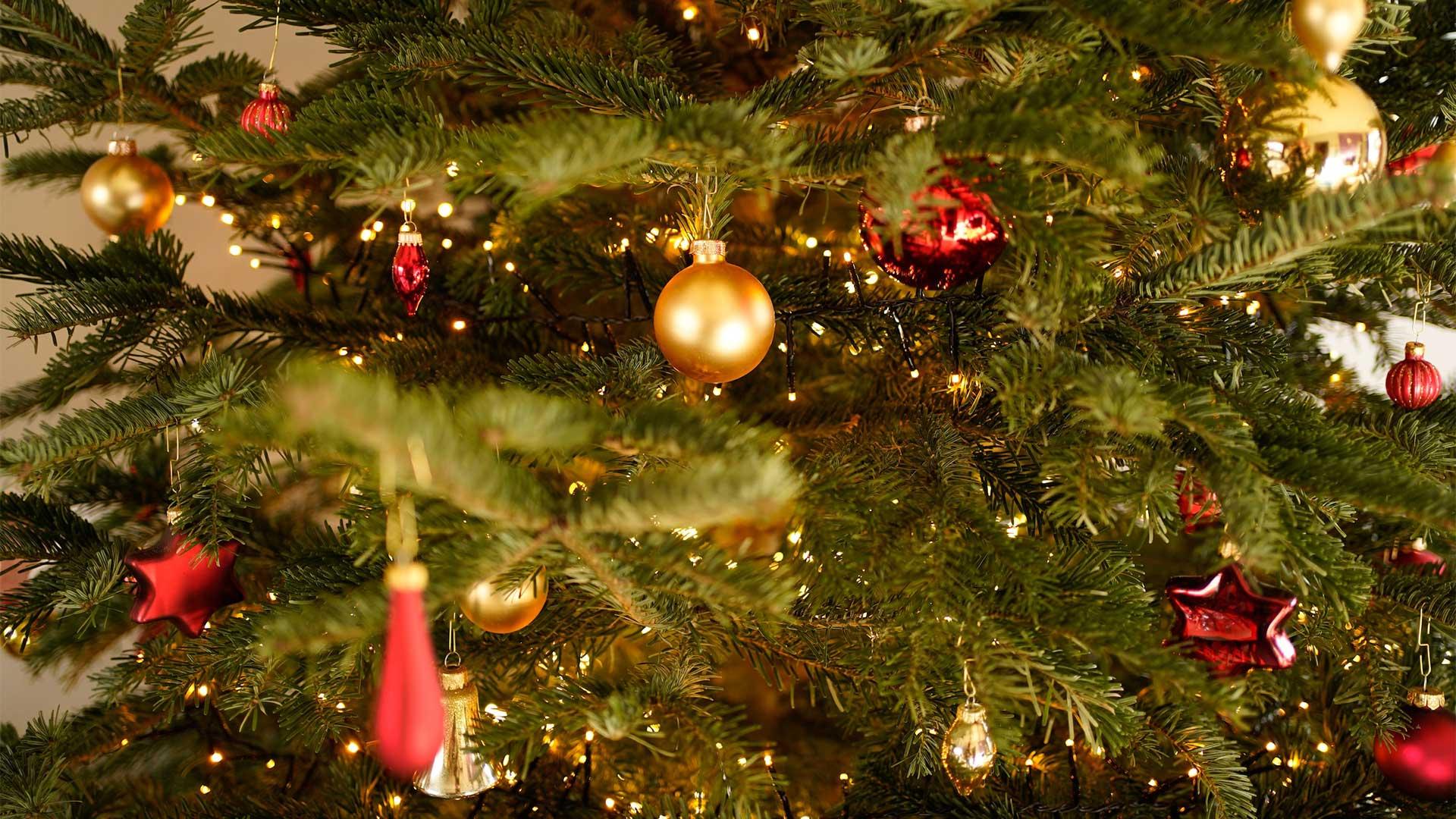 Immagine di Migliori alberi di Natale (giugno 2025)