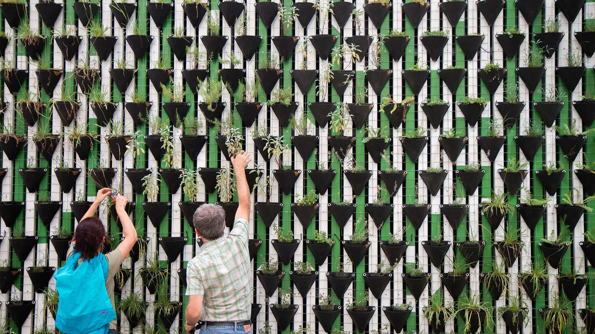 Immagine di Migliori orti verticali (giugno 2025)