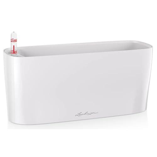 Lechuza Spring Sales 2026