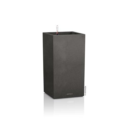 Lechuza Spring Sales 2026