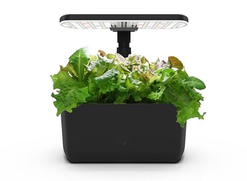 Immagine di AeroGarden Harvest 2.0