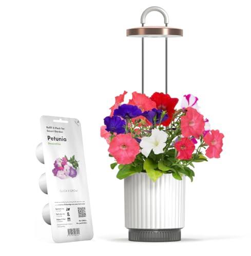 Immagine di Hydrovase Smart Garden