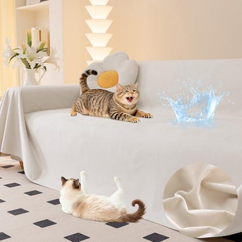 Loiion Copridivano Antigraffio Gatto-30