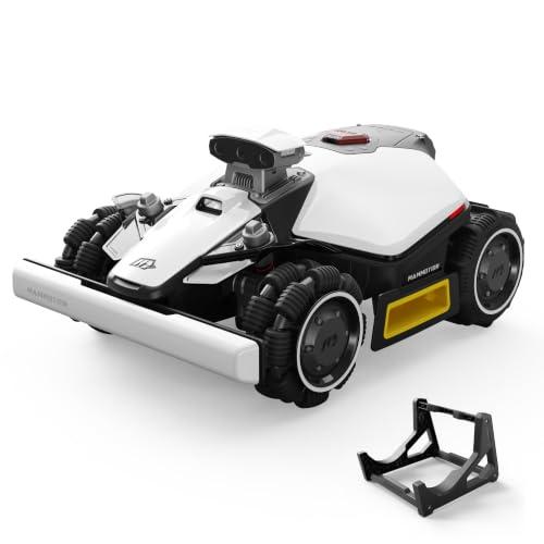 Immagine di Mammotion LUBA mini 2 AWD 1000