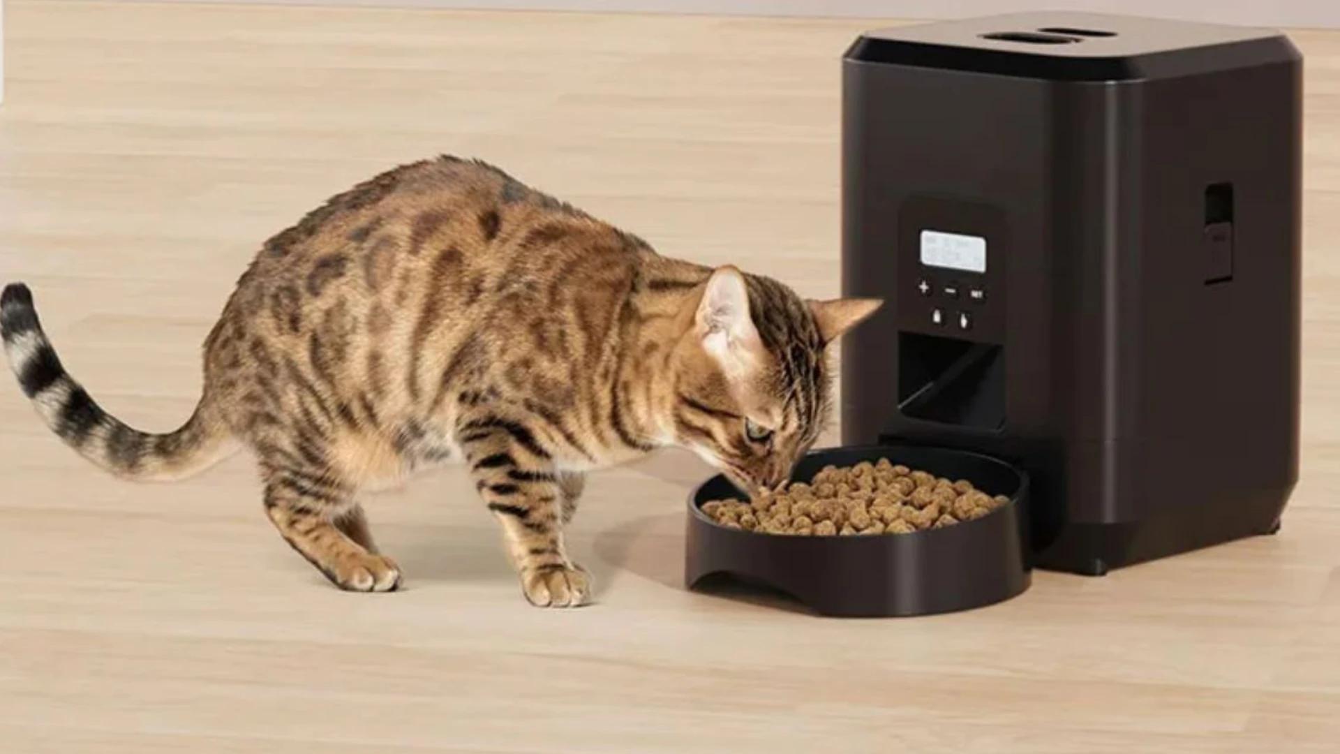 Immagine di Pasti regolari per gli animali con questo distributore a 28€