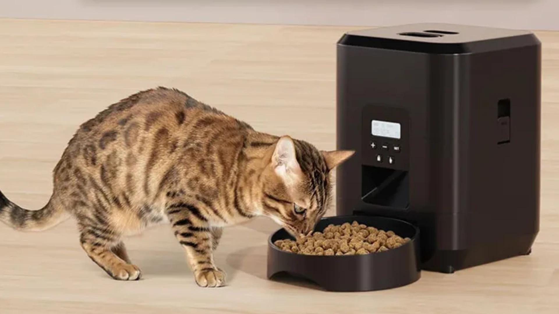 Immagine di A soli 27€ ecco l'assistente per i pasti di gatti e cani!
