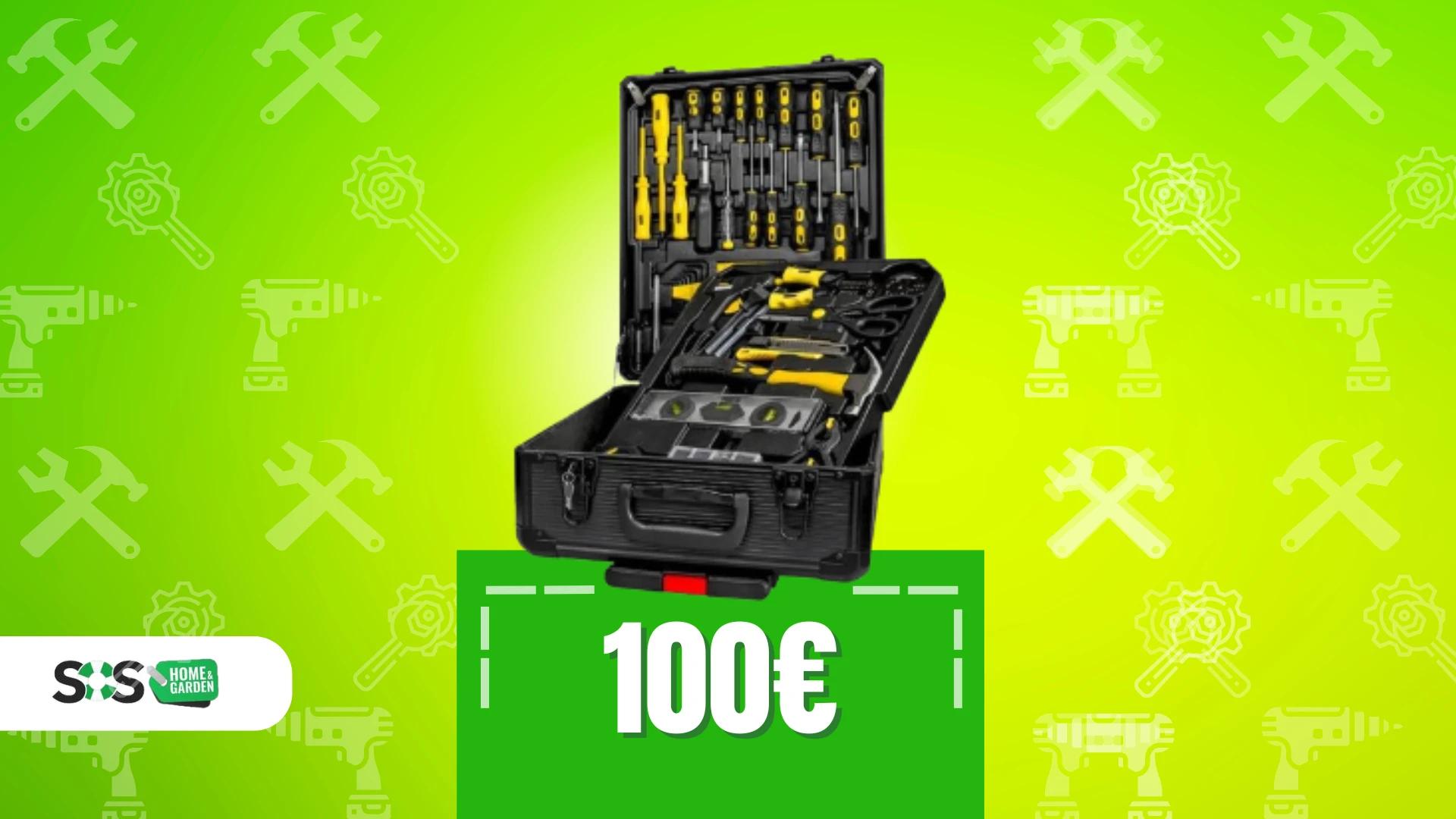 Immagine di Cassetta con 499 attrezzi: la soluzione per ogni necessità!