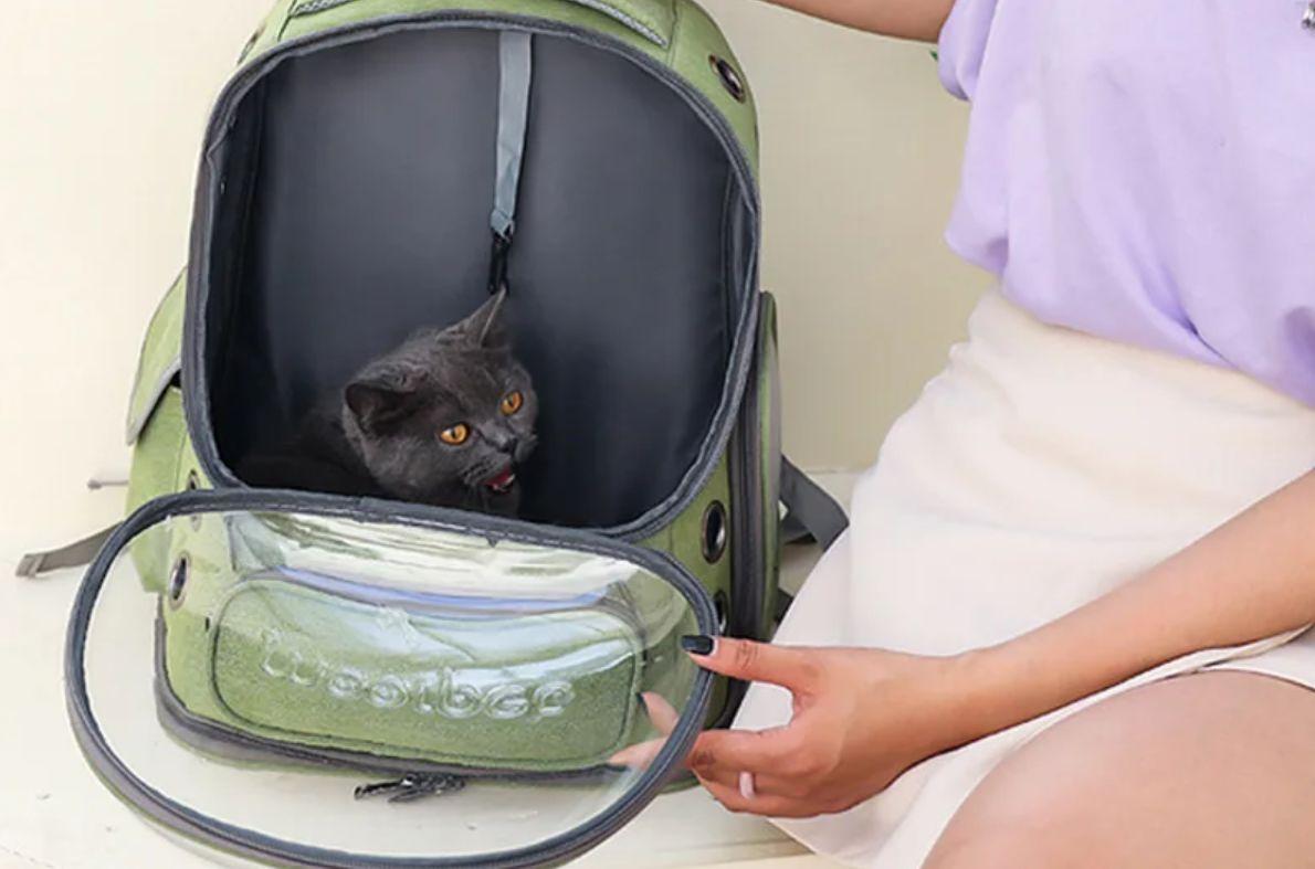 Immagine di Lo zaino per gatti perfetto per ogni avventura a soli 17€!