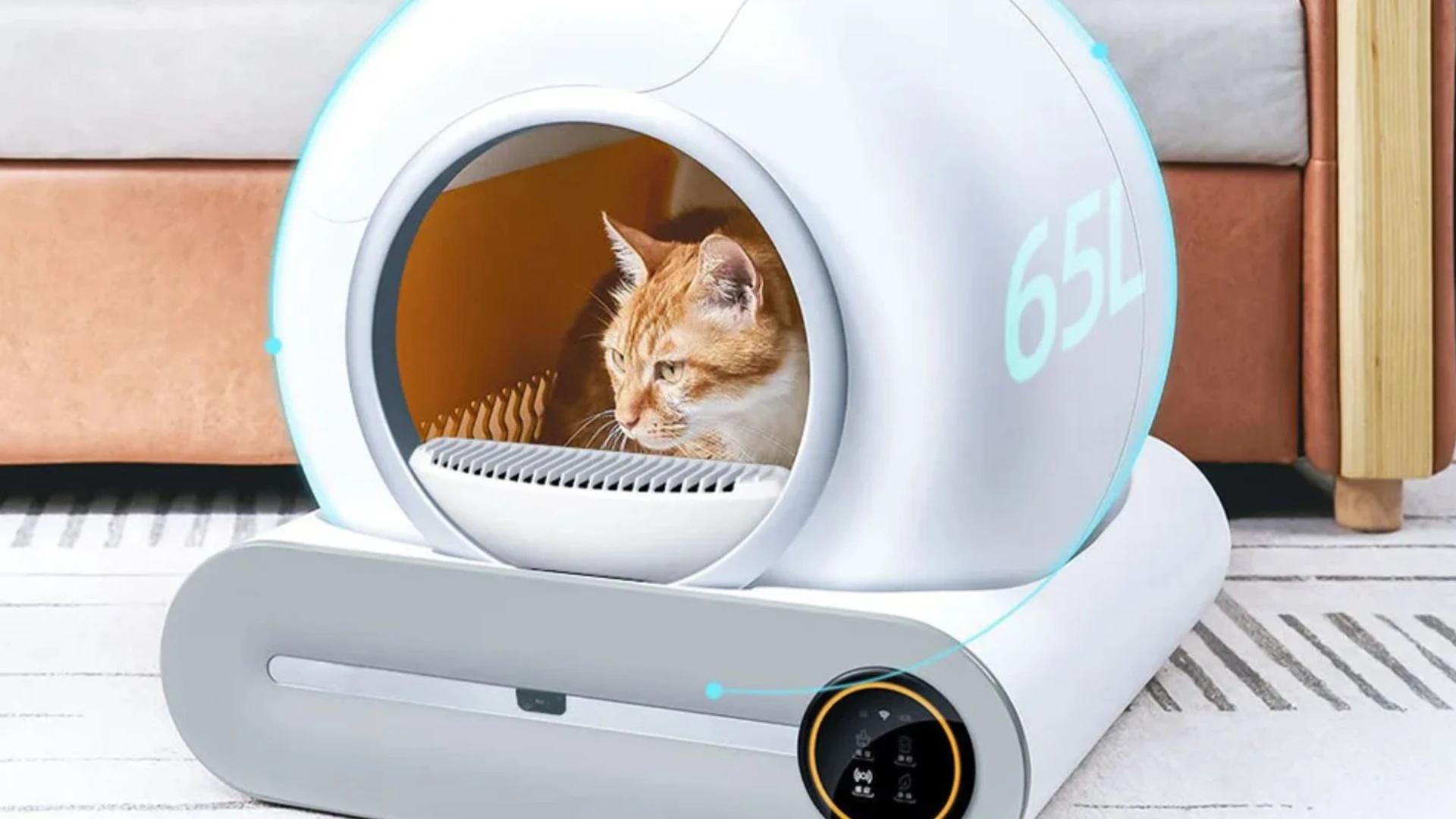 Immagine di La lettiera del futuro è qui: autopulente e smart a 135€!