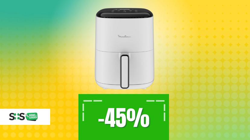 Immagine di Non la più grande, ma tra le migliori: friggitrice performante sotto i 55€