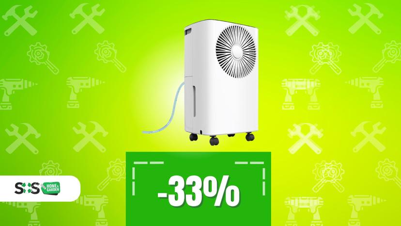 Immagine di Mai più panni umidi: il deumidificatore economico che funziona davvero