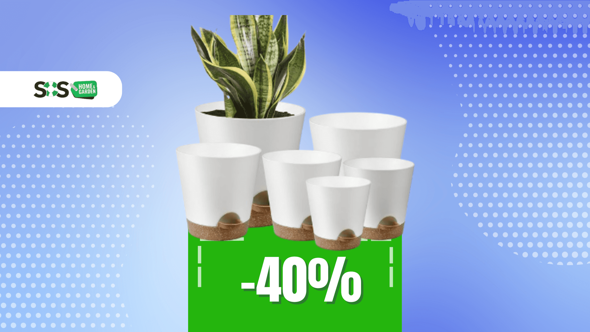 Immagine di La natura incontra la praticità con questo set di 6 vasi!