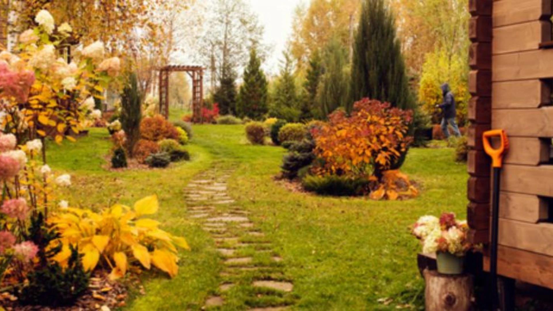 Immagine di Prepara il giardino all'autunno con sconti fino al 60% su Leroy Merlin!