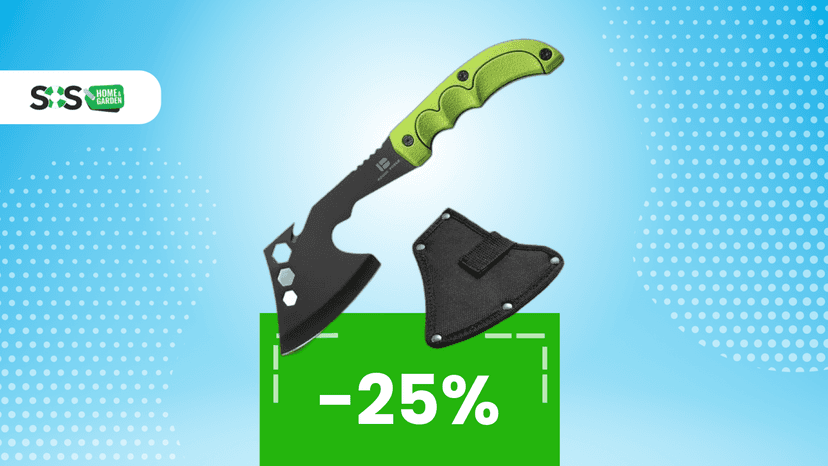 Immagine di Meno fatica, più risultati: scopri l’ascia spaccalegna in offerta