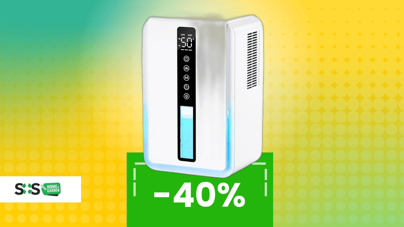 Immagine di Casa umida d’estate? È il momento di agire: deumidificatore -40% oggi