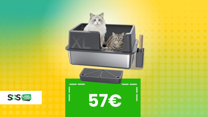 Immagine di Lettiera top per il tuo gatto: qualità progettata + sconto Amazon oggi