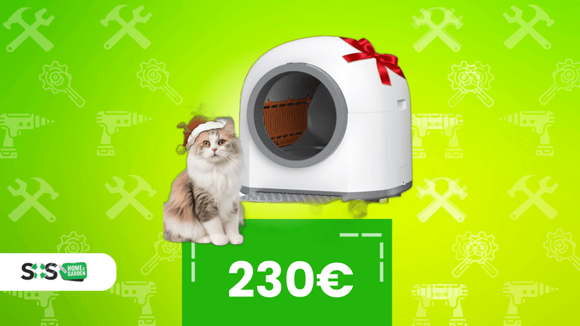 Immagine di Trasforma il tuo gatto in re della casa con un solo coupon da 50€