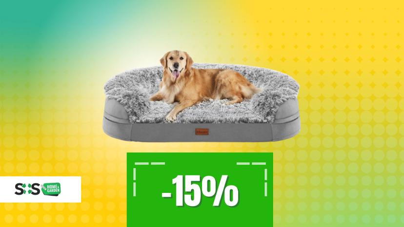 Immagine di Comfort da vero re: letto ortopedico per cani oggi a meno di 60€
