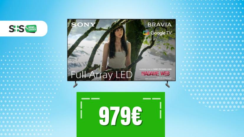 Immagine di Finalmente sotto i 1000€: la tua Sony BRAVIA 65" ti aspetta!