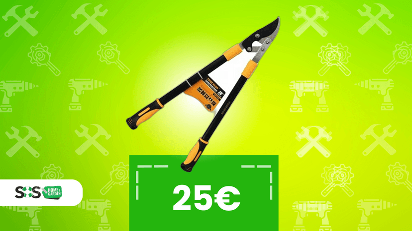 Immagine di Spendi 24€ e rivoluziona il tuo giardino con questo troncarami