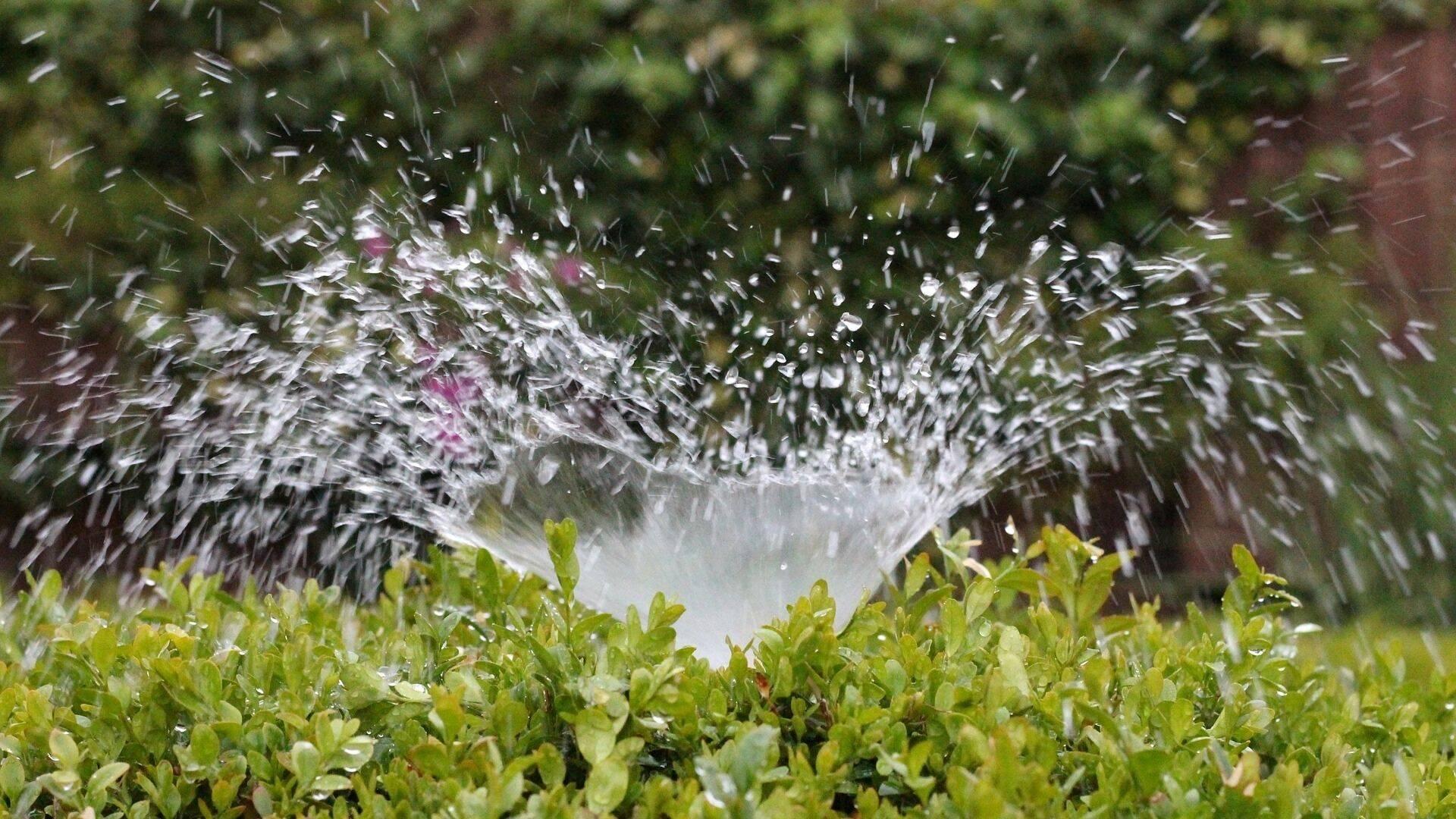 Immagine di Migliori irrigatori (settembre 2026)