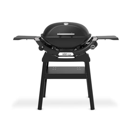 Immagine di Weber Q 2200N