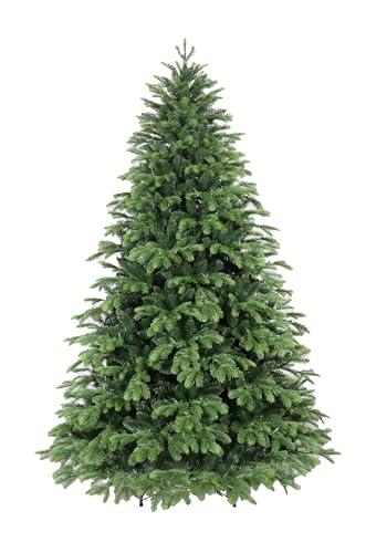 Immagine di Albero Giulia Grillo