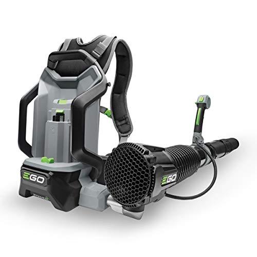 Immagine di EGO Power+ LB6000E