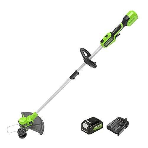 Tagliaerba e utensili elettrici da giardino