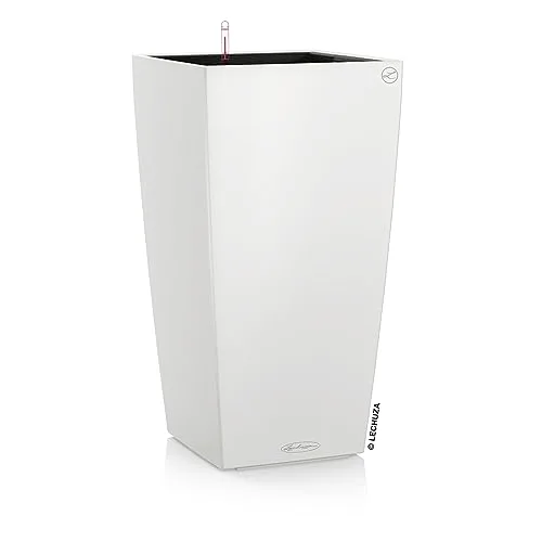 Lechuza CUBICO Colore 40: immagine del prodotto