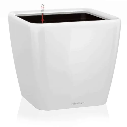 Lechuza QUADRO Premium LS 35: immagine del prodotto