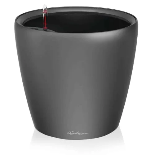 Lechuza CLASSICO Premium LS 35: immagine del prodotto