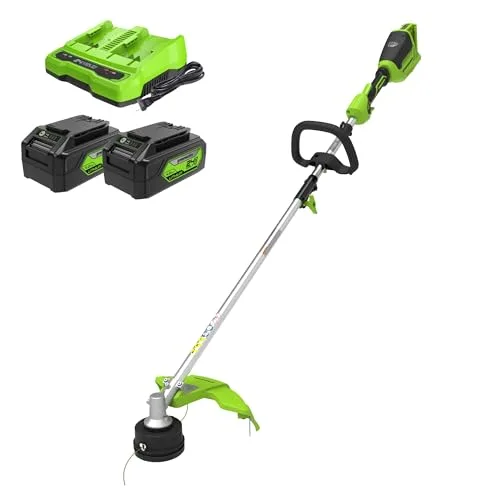 Greenworks GD24X2TXK4x 48V: immagine del prodotto