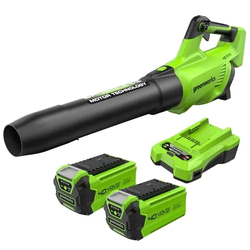 Greenworks GD40ABK2X 40V: immagine del prodotto